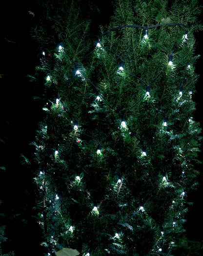Dacore Gardinkæde Startsæt 100 LED 110x100 cm julebelysning udendørs placeret på tæt, høj busk om aftenen.