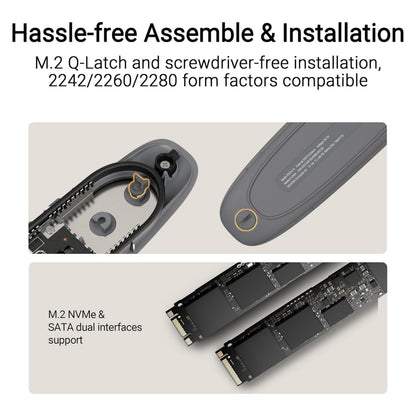 Asus Cobble SSD-kabinet M.2 grå, åbent kabinet med to M.2-drev, USB 3.2 Gen 2, værktøjsfri montering, ekstern lagring.