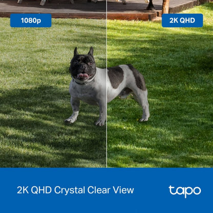 Tapo C425 4 stk. sammenligning af videokvalitet, venstre 1080p sløret, højre 2K QHD klarere, hund på græs.