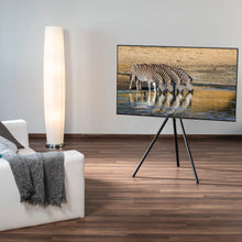 TV på gulvstativ til 37-75" med VESA 600x400, smart kabelhåndtering, viser zebraer på skærmen.