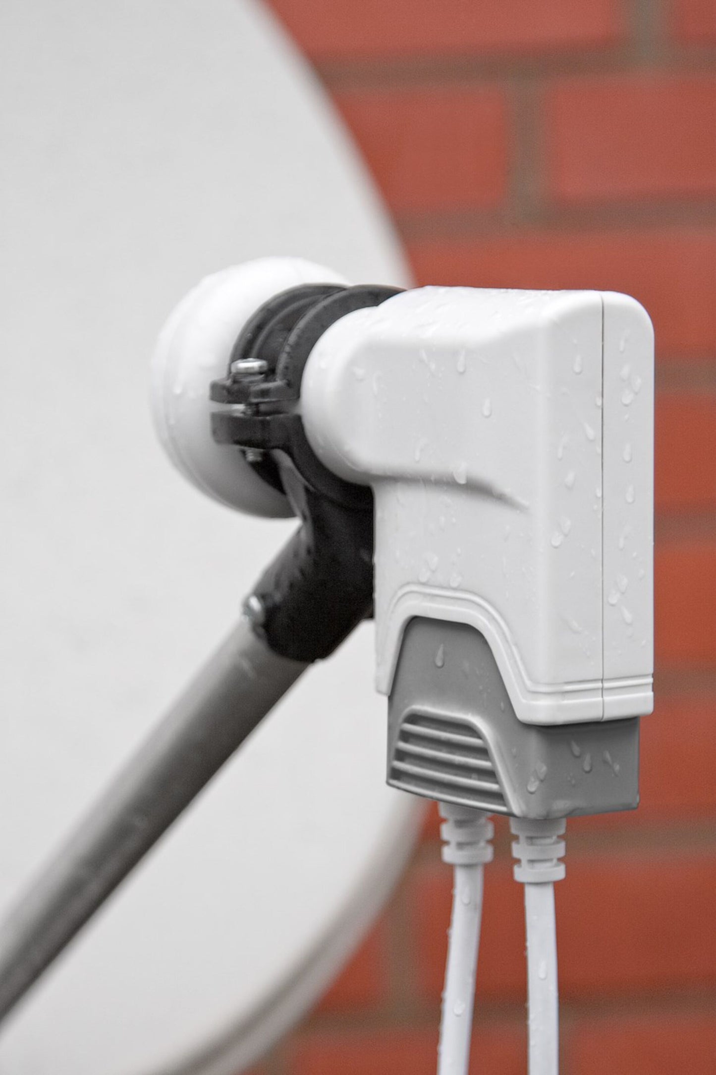 Wentronic Tvilling-LNB Universal med vanddråber, monteret på metalarm, tilsluttet med to hvide kabler foran rød mur.
