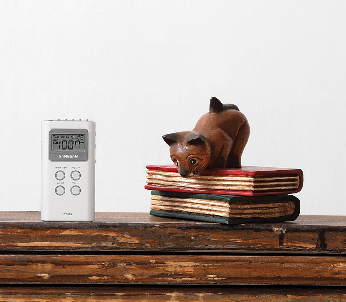 Sangean DT-120 II sort FM-radio med digital tuner, placeret ved bøger, brun kattefigur ovenpå, neutral baggrund.