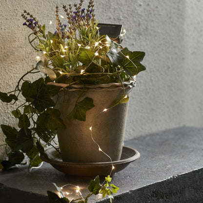 Solcelledrevet lyskæde med 50 LED-pærer på lerpotte med grønne planter og lavendel, mørk overflade, lys væg.