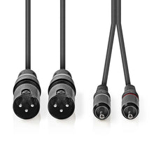 Sort 2x XLR han til 2x RCA han lydkabel, én RCA med rød ring, kablerne vist lodret.