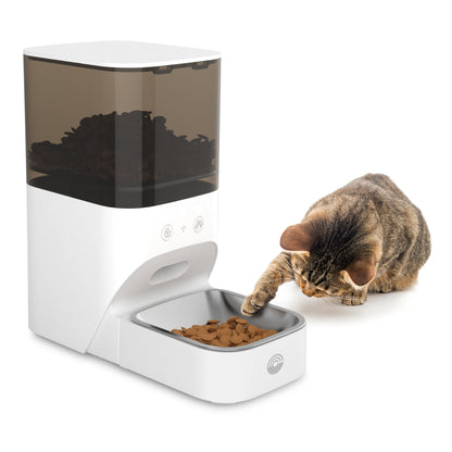 Cleverio PF100 Smart foderautomat i metal med brunstribet kat, app-styret kæledyrsfodring, kibble synlig.