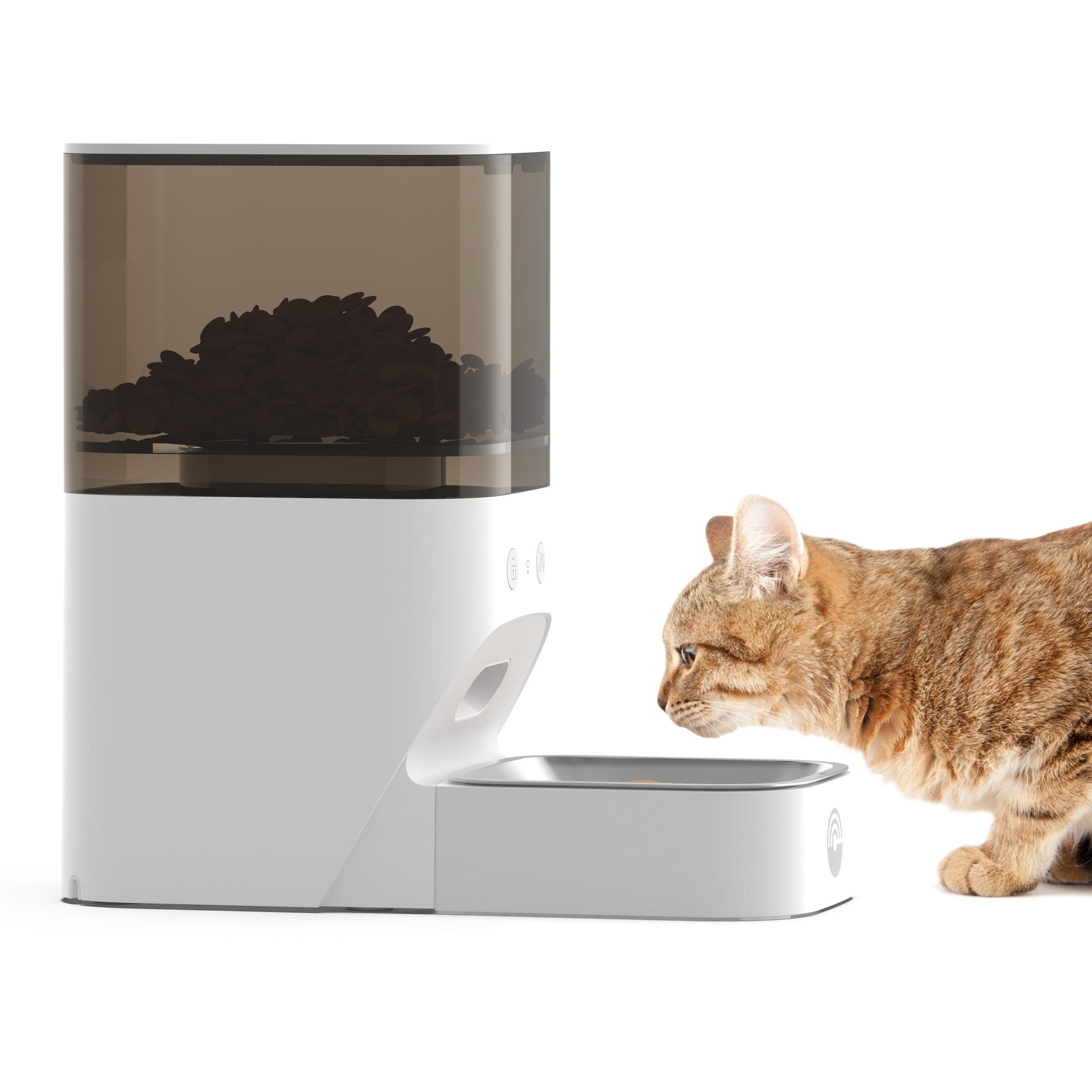 Cleverio PF100 Smart foderautomat med gennemsigtig top, stålskål og app-kontrol, brunstribet kat spiser tørfoder.