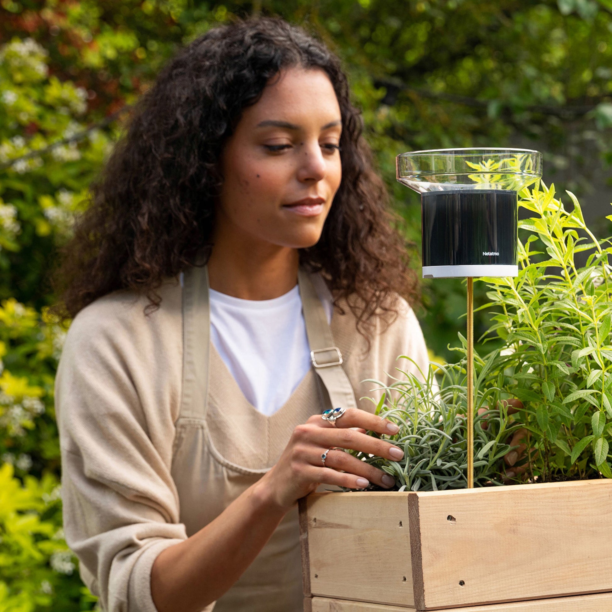 Netatmo Regnsensor til vejrstation placeret ved grønne planter i træ plantekasse, synlig sensor og udformning.