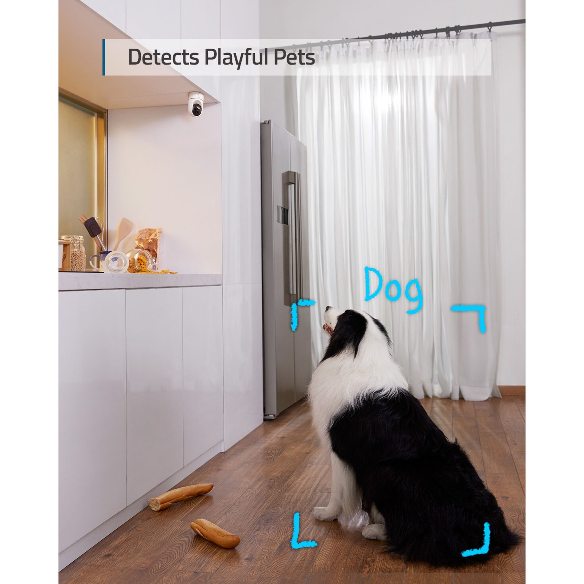 Eufy Indendørs kamera 2K Pan  Tilt i køkken, sort/hvid hund, to hundelegetøj, tekst: Dog og Detects Playful Pets.