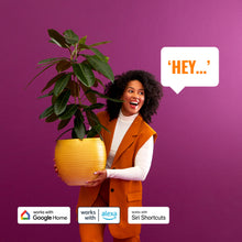 WiZ Klar pære A60 Smart LED-lampe E27 806 lm med Google Home, Alexa og Siri Shortcuts logoer.