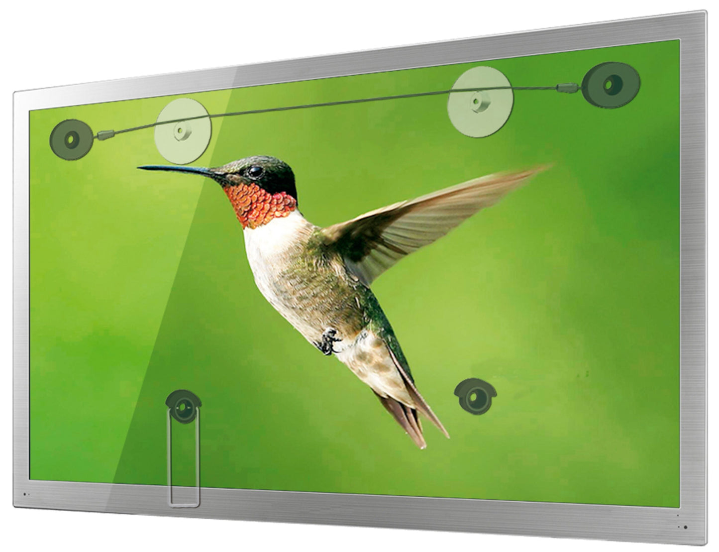 Fladskærms-tv med nærbillede af kolibri, monteret med Wireophæng til TV 37-70" i hjørner med tynde wirer og sugekopper.