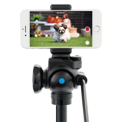 Velbon EX-230II stativ med mobilholder optager video af lille hund, smartphone viser hunden løbe på græs.