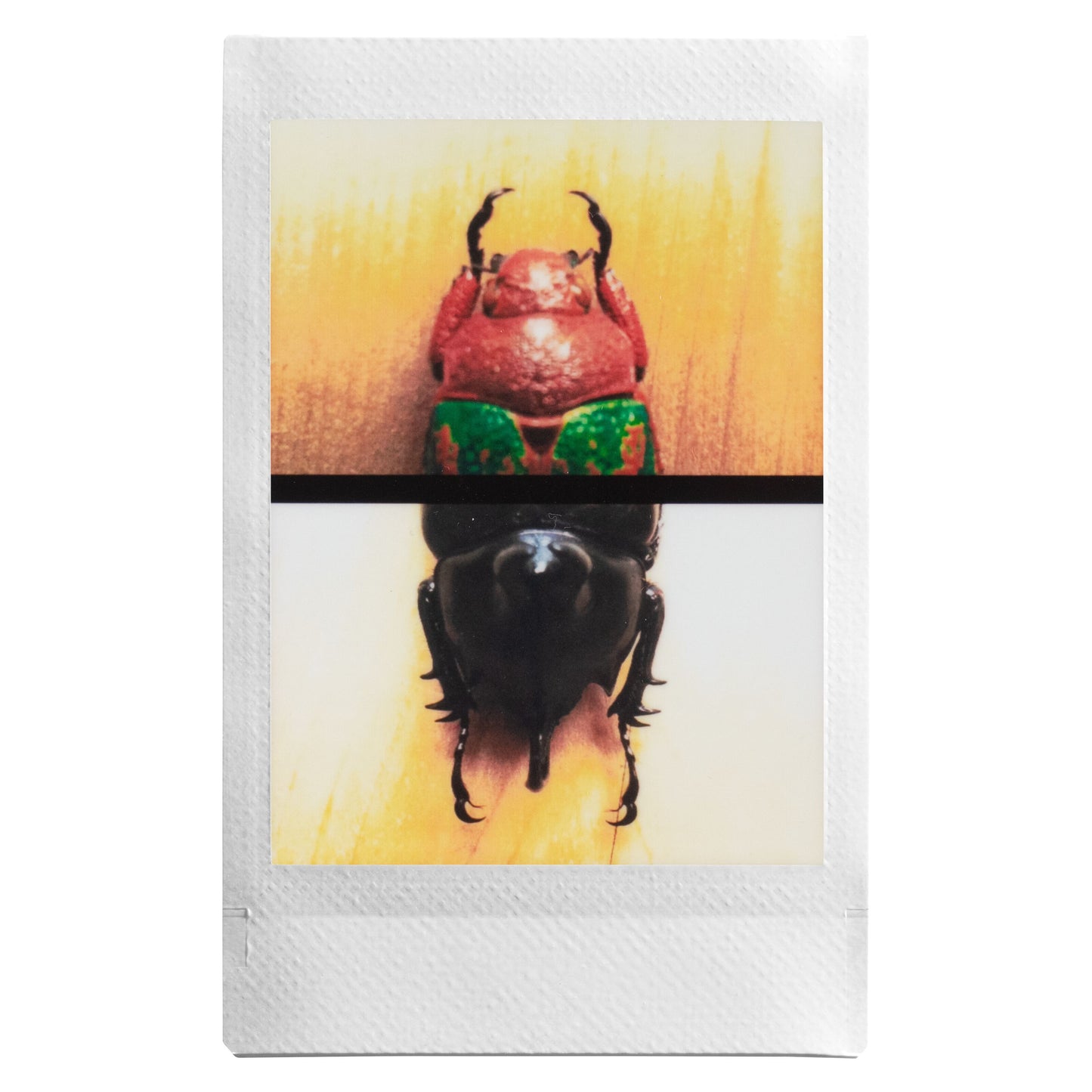 Fujifilm Instax Mini Evo Sort foto af to biller, én rød med grønne prikker og én sort, adskilt af sort streg på gul baggrund.