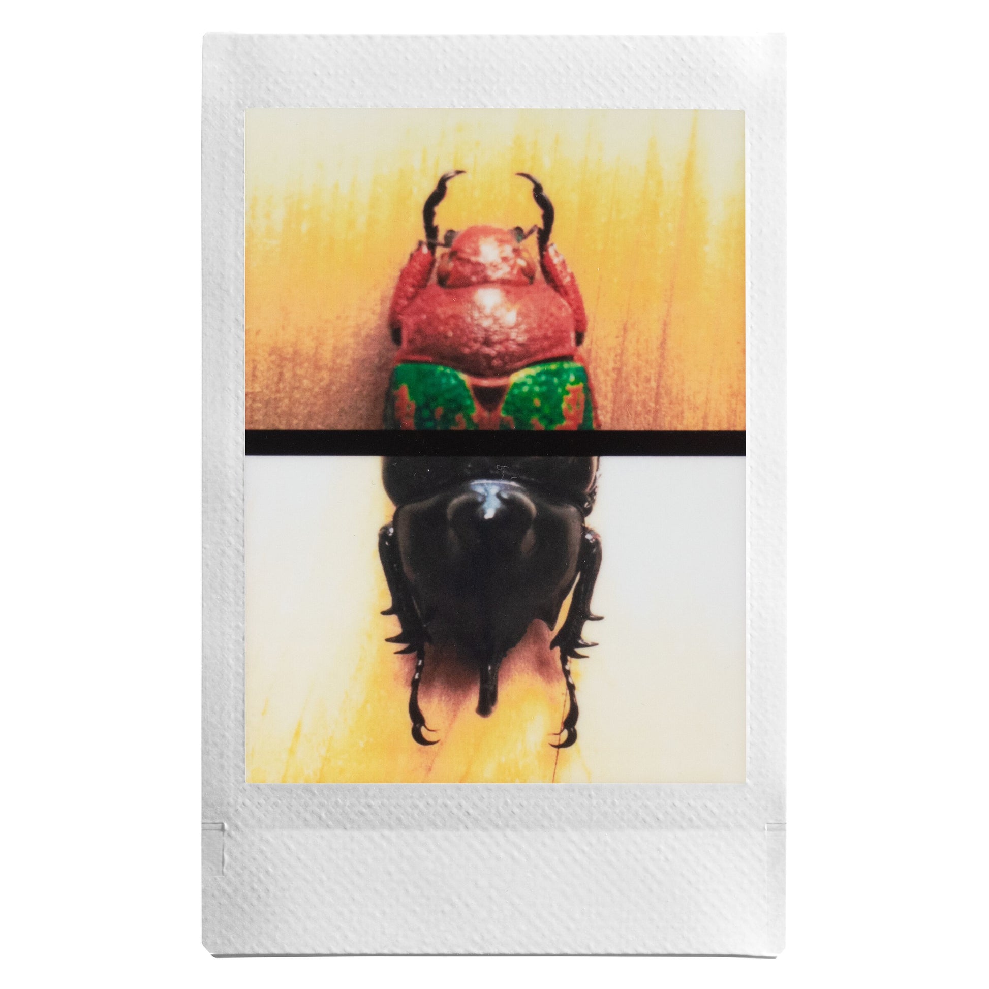 Fujifilm Instax Mini Evo Sort foto af to biller, én rød med grønne prikker og én sort, adskilt af sort streg på gul baggrund.
