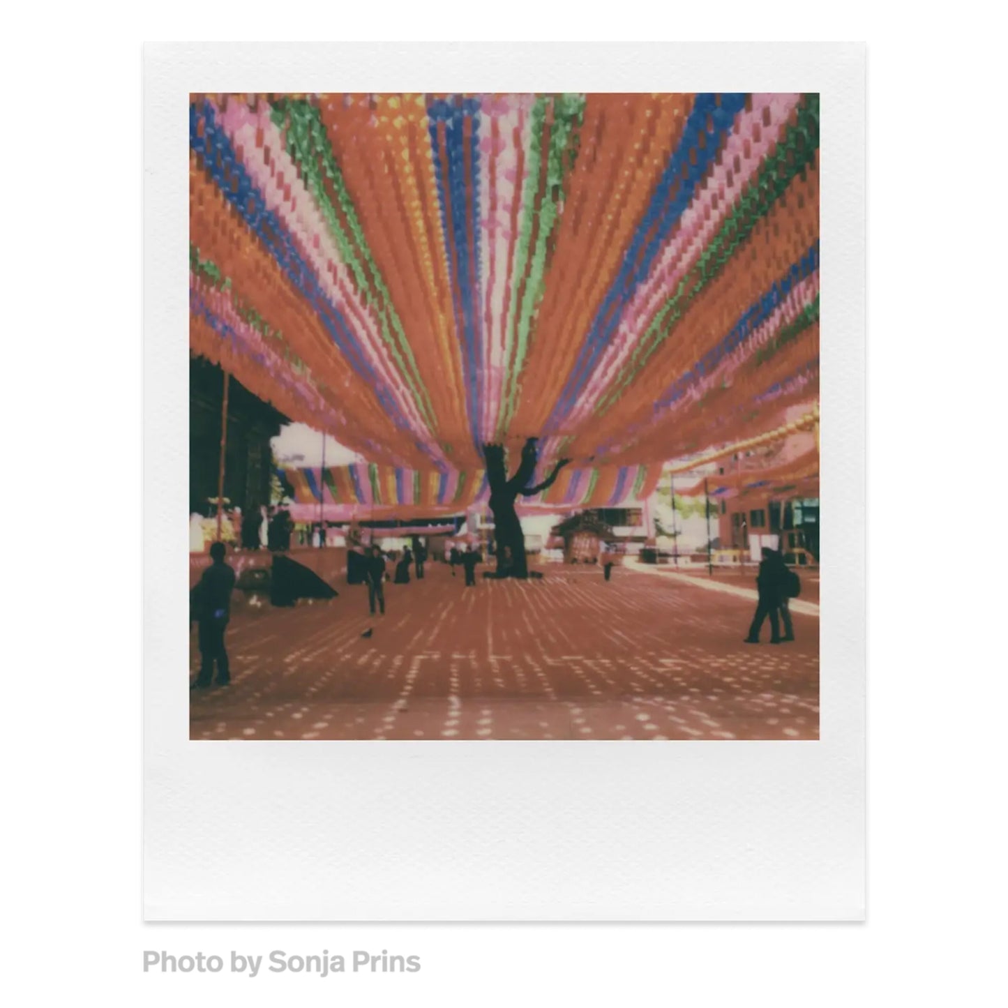 Polaroid Farvefilm til Polaroid i-type 40-pakke, billede med orange, pink, blå og grønne lanterner og bar træstamme.