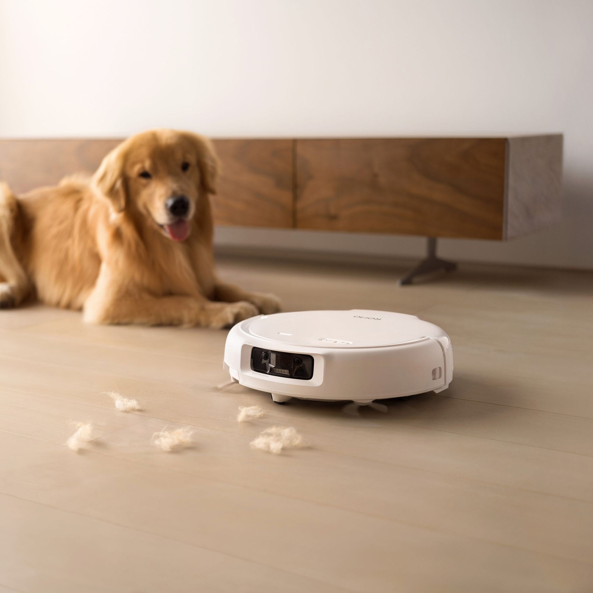 DJI ROMO S robotstøvsuger og -moppe med 3D LiDAR, vandtankversion på trægulv ved hund, pels synlig.