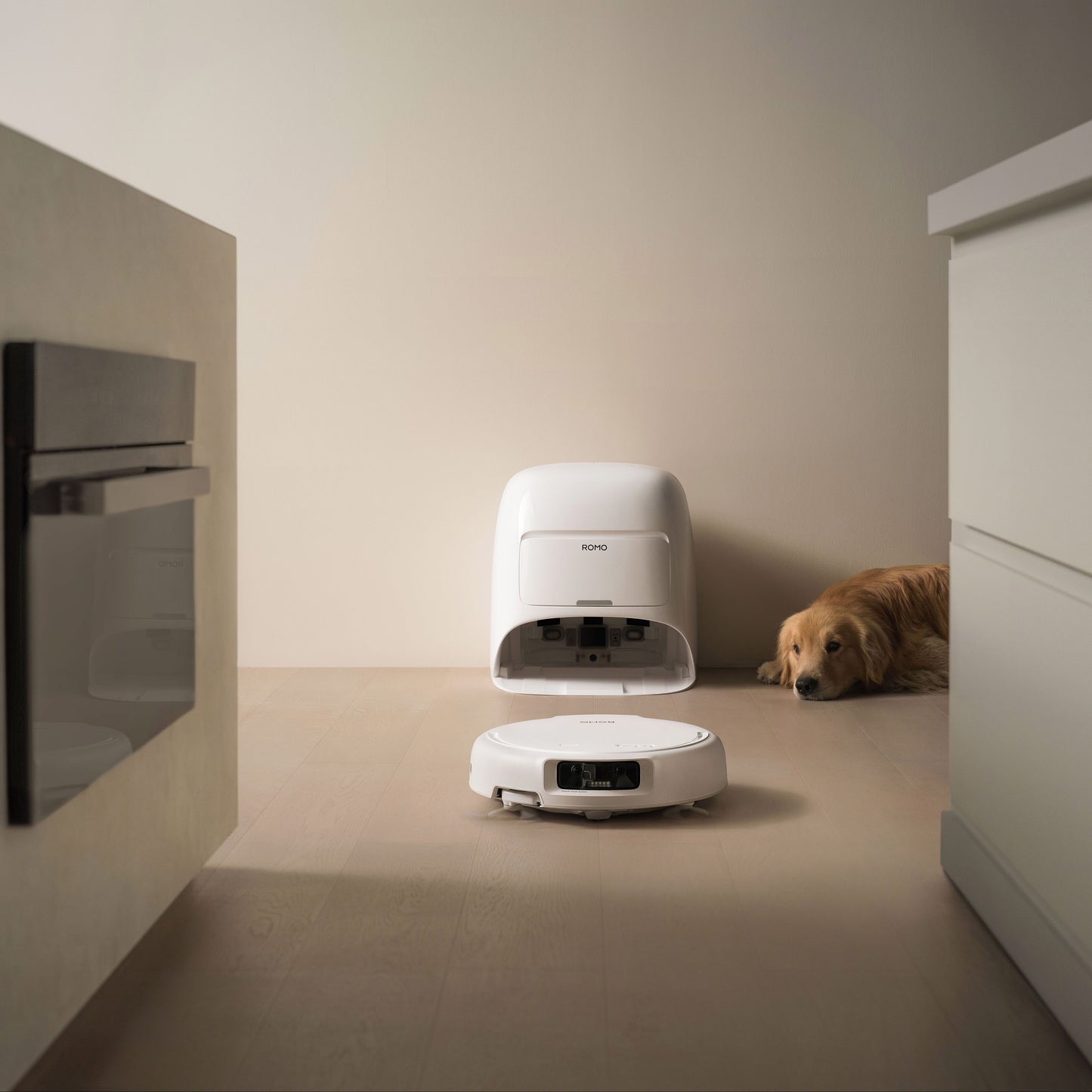 DJI ROMO S robotstøvsuger og moppe med 3D LiDAR tømmer sig selv ved dokning på lyst trægulv, golden retriever kigger.