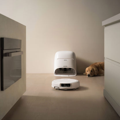 DJI ROMO S robotstøvsuger og moppe med 3D LiDAR tømmer sig selv ved dokning på lyst trægulv, golden retriever kigger.