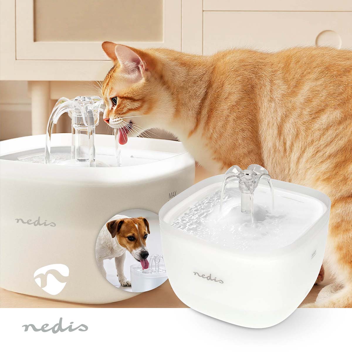 Vandfontæne 2L med 4-lags filter, orange/hvid kat drikker, billede af hund ved lignende model på siden.