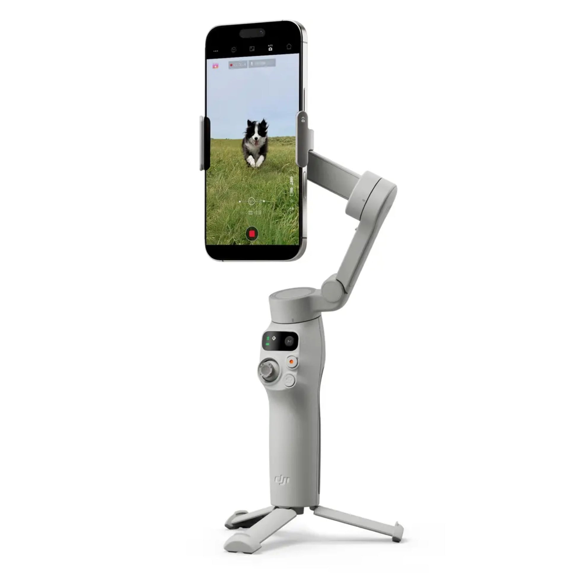 DJI Osmo Mobile 7 grå gimbal med tripod base, knapper og joystick, smartphone viser billede af sort-hvid hund.