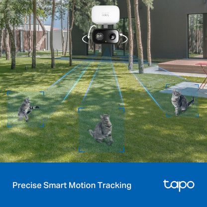 TP-Link Tapo C216 trådløst udendørs overvågningskamera med AI, tre katte markeret med blå sporingsbokse, tekst: Tapo.