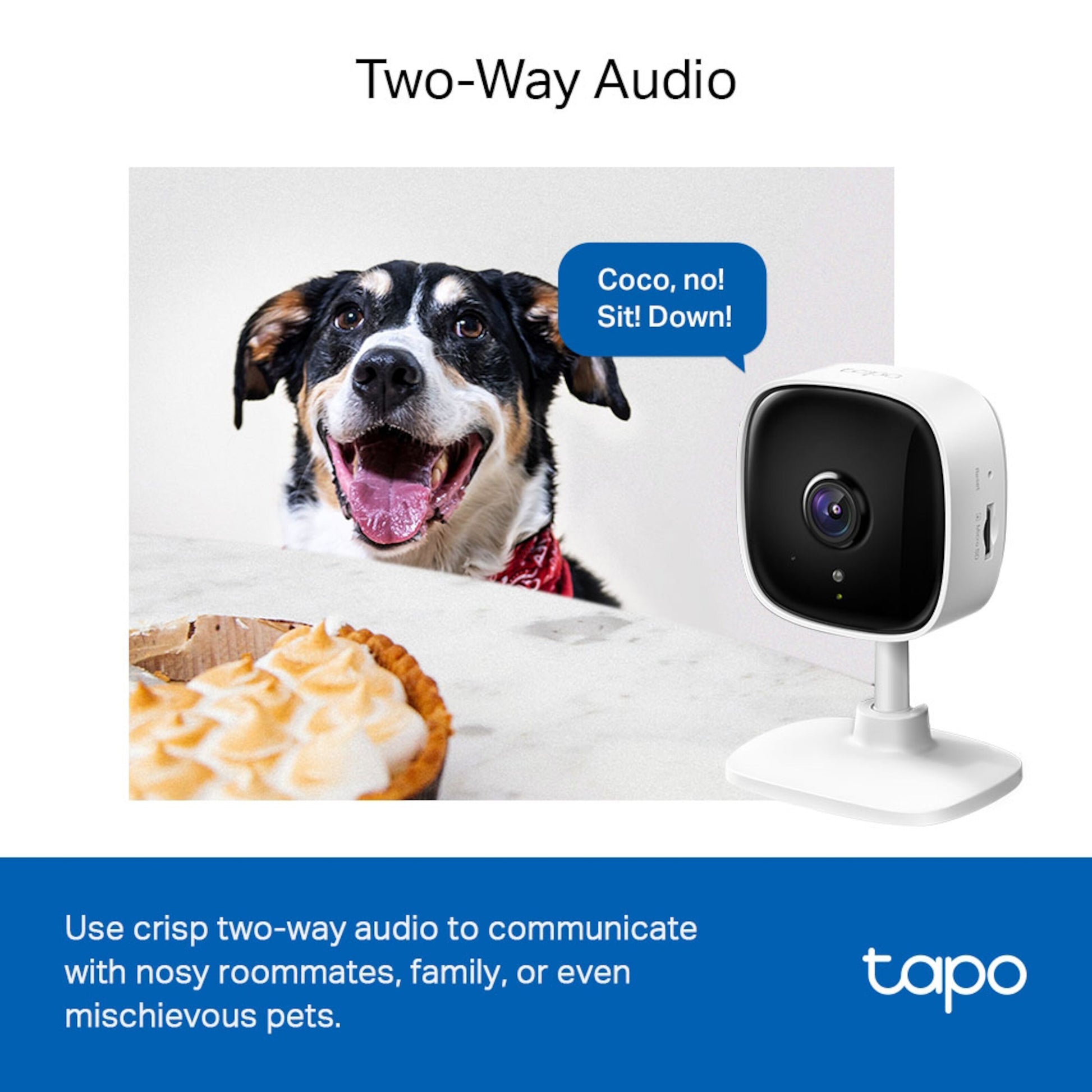 TP-Link Tapo C100 trådløst overvågningskamera på bord, tovejs lyd fremhævet, hund foran tærte i baggrunden.