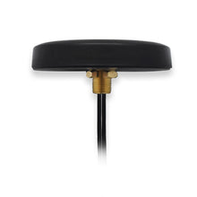 Sort rund 4G-antenne med Mimo 2,5 dBi, flad top, IP67, metalboltmontage og sort kabel fra midten.