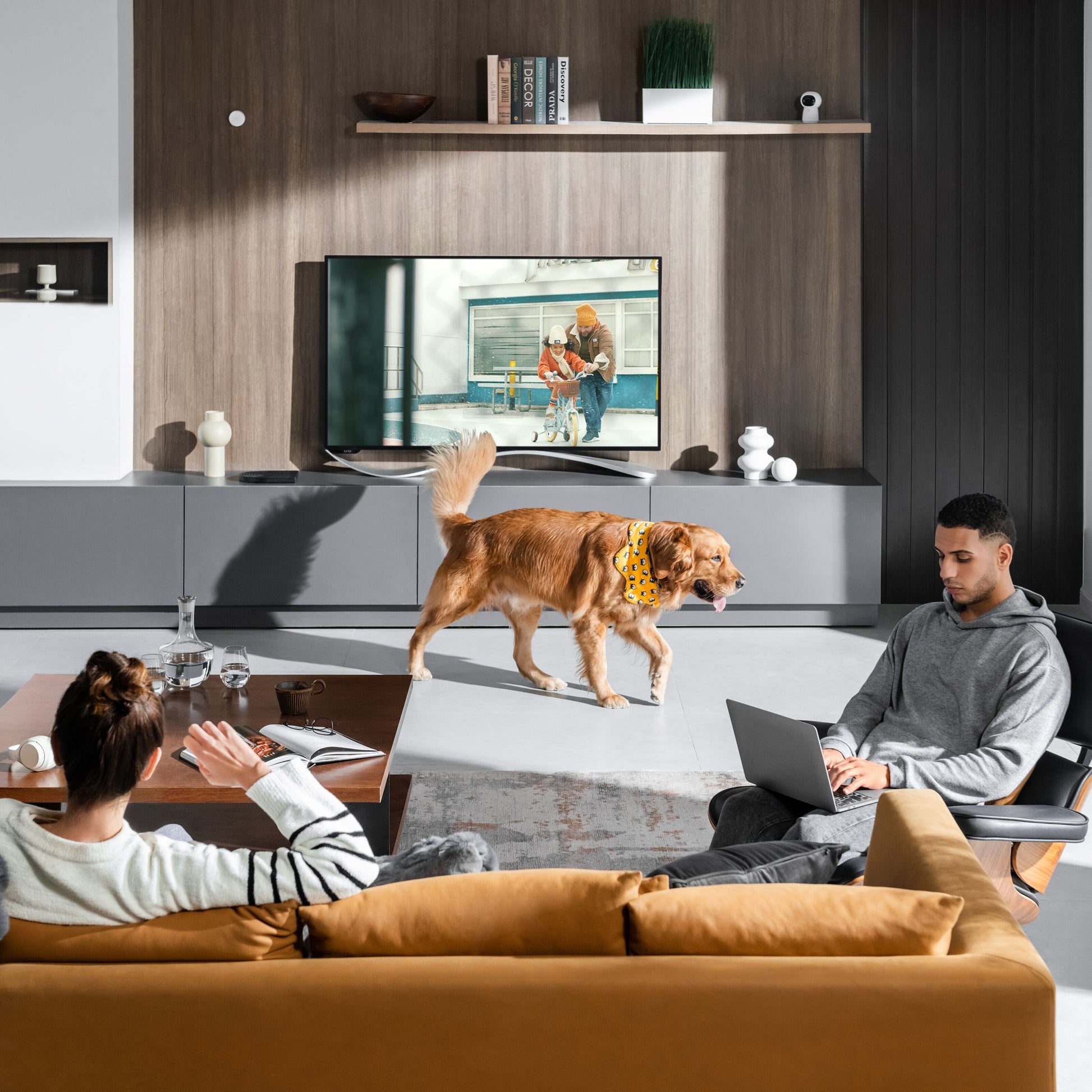 Aqara Tilstedeværelsessensor FAS5 i stue med TV på væg, sofa og personer, gylden retriever synlig i rummet.