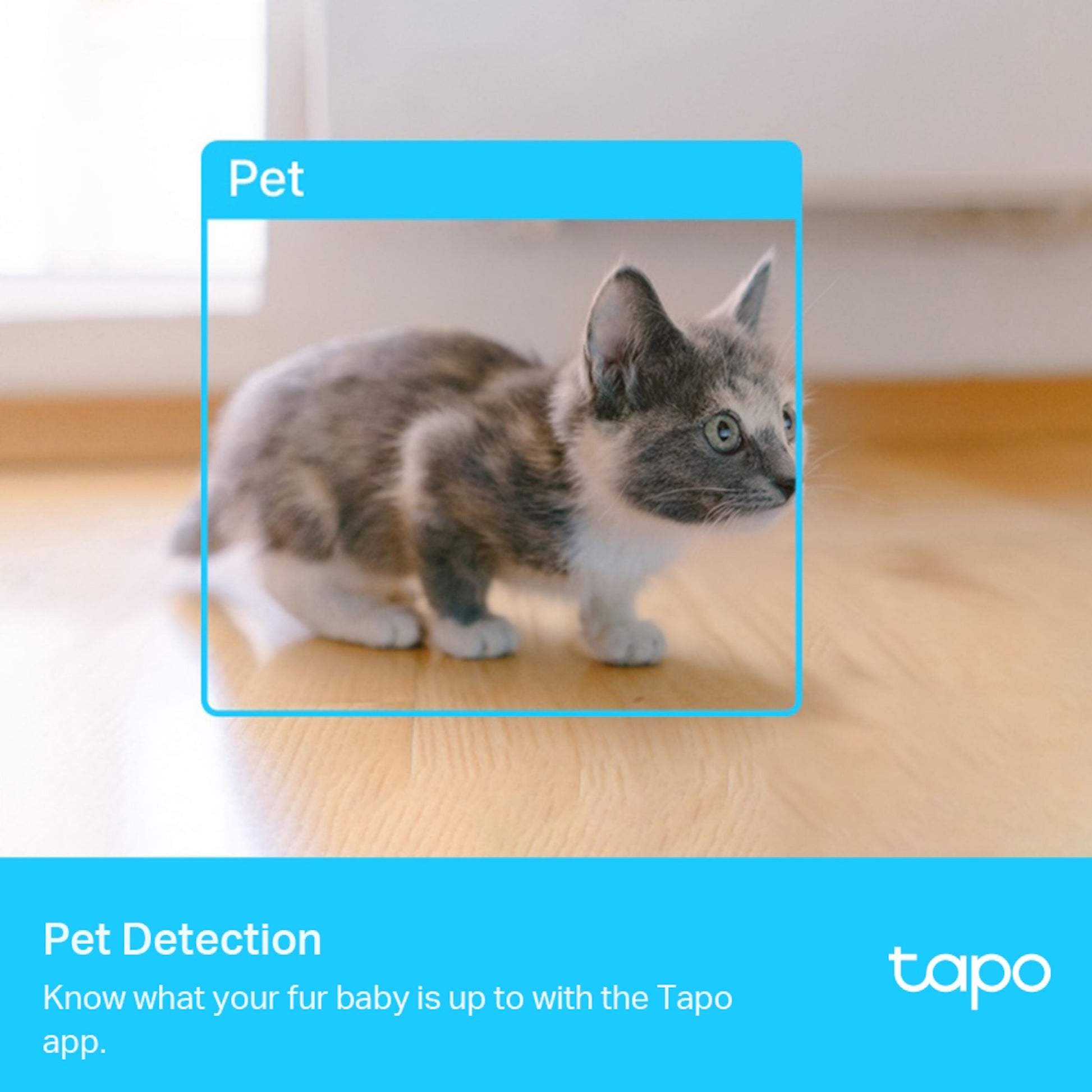 Tp-Link Tapo C225 AI trådløs overvågningskamera, Pet Detection vises, blå Pet label og Tp-Link logo.