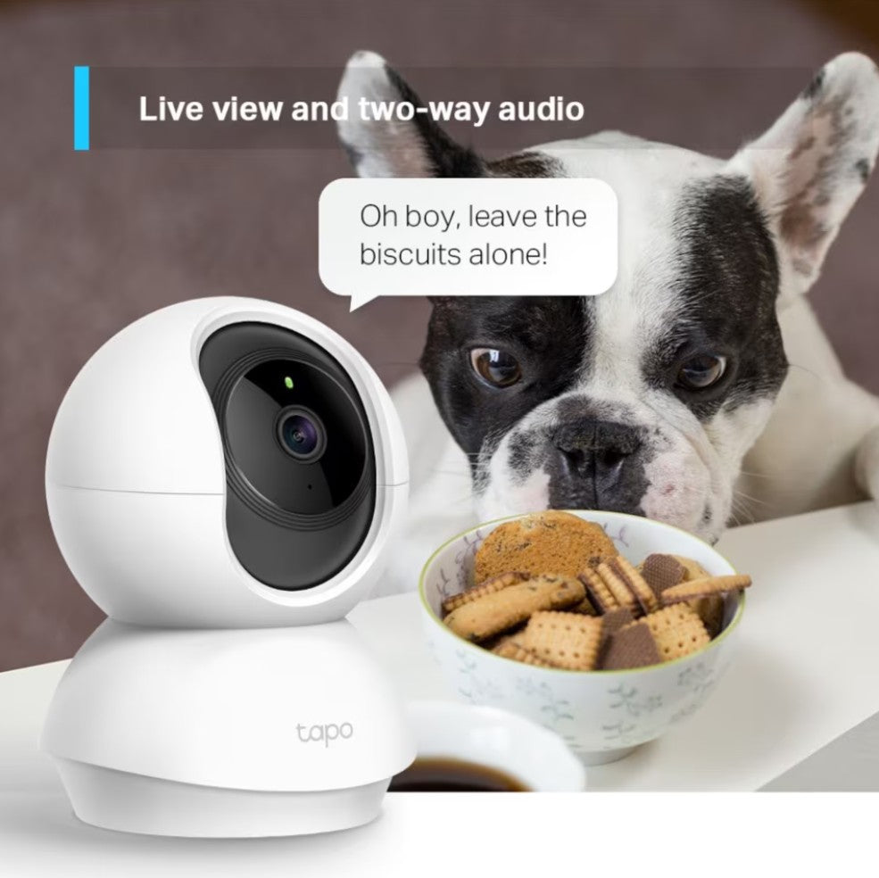 TP-Link Tapo C210 trådløst sikkerhedskamera ved skål kiks, fransk bulldog kigger, "Live view og to-vejs lyd" tekst på display.