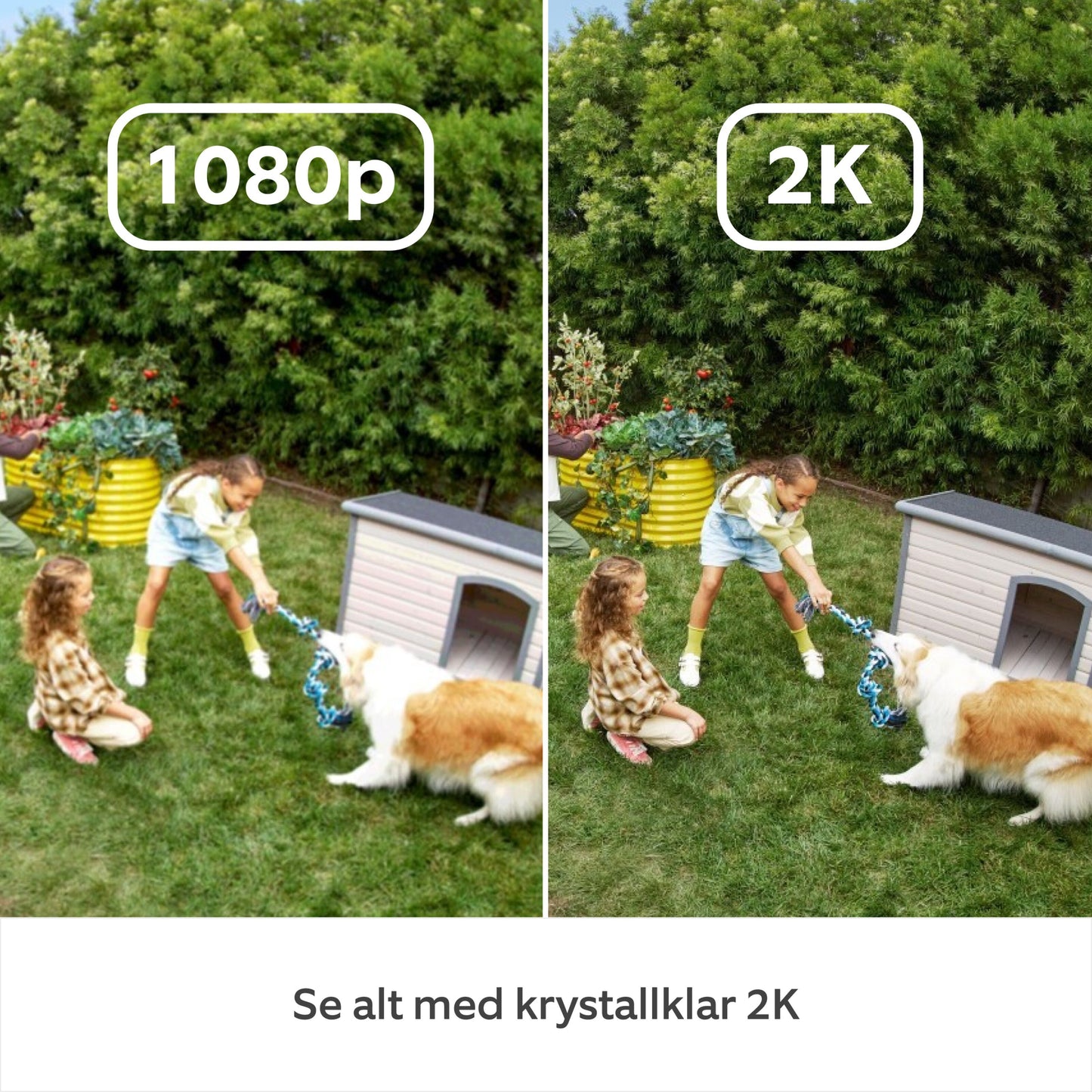Ring Outdoor Cam Plus Plug-in 2K sammenlignet med 1080p Full HD, visning af billedkvalitet, label vises på billedet.
