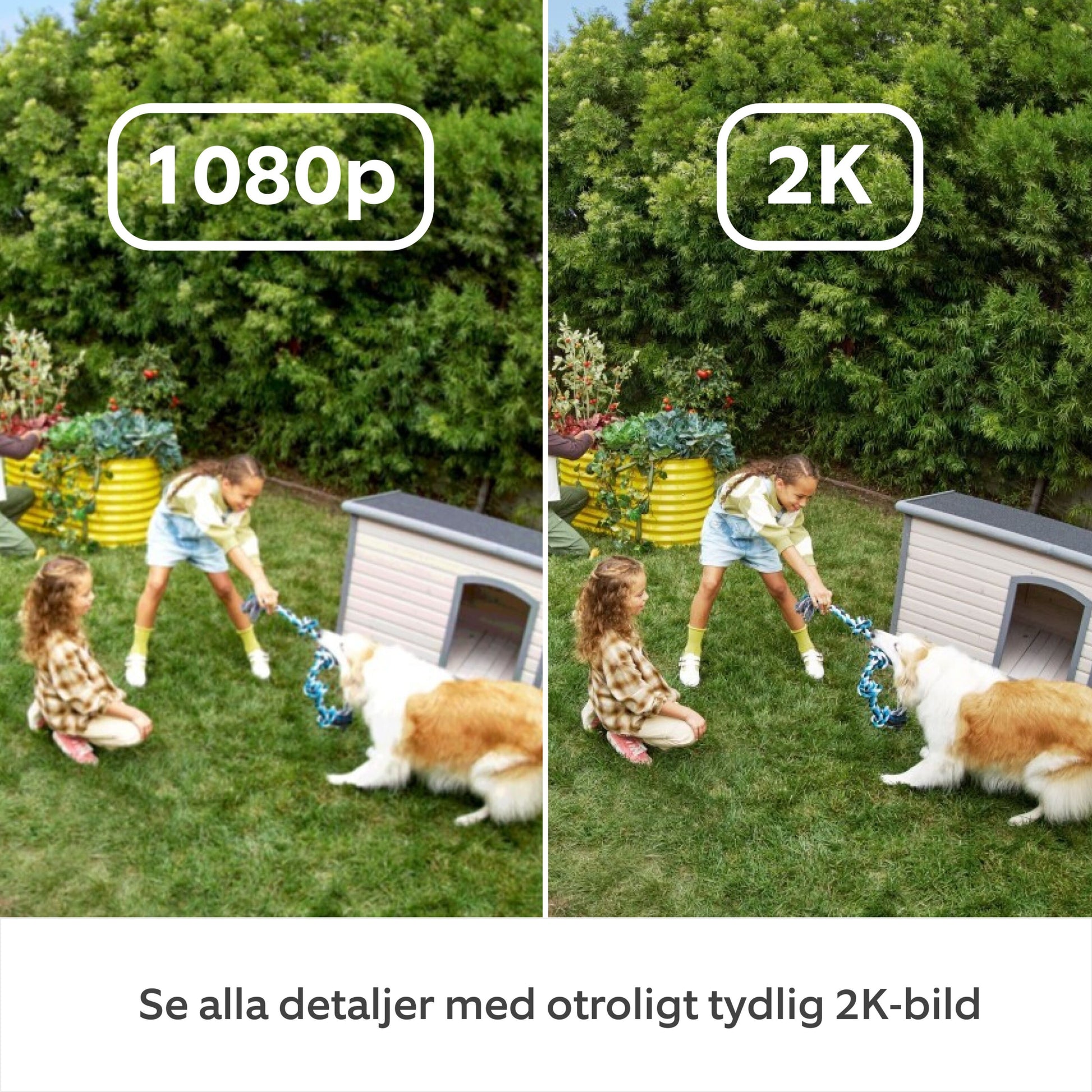 Ring Outdoor Cam Plus Plug-in Sort sammenlignet i 1080p Full HD vs 2K billedkvalitet, svensk tekst under.