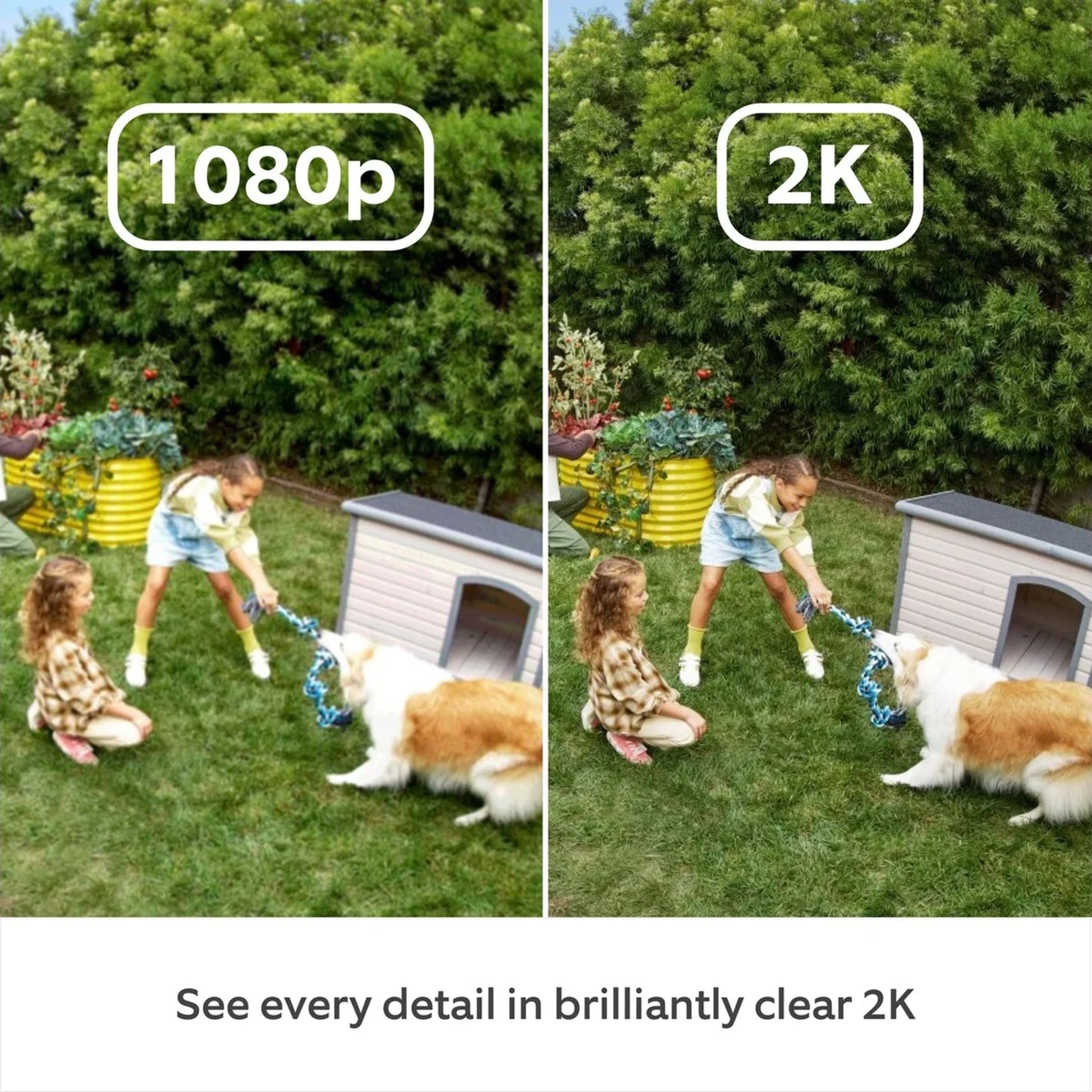 Ring Outdoor Cam Plus Plug-in Hvid viser forskel på 1080p og 2K billedkvalitet med børn og hund ude.