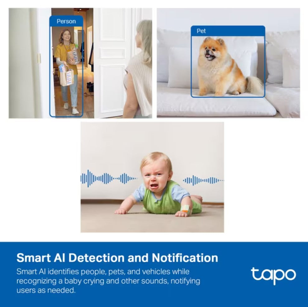 TP-Link Tapo C125 overvågningskamera Wi-Fi 2K QHD AI-detektion personer ved dør, Pomeranian på sofa, lydnotifikationer.