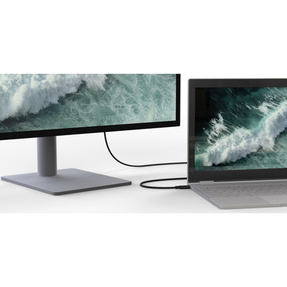 Belkin USB-C til HDMI kabel 8K/60Hz 2m sort forbinder bærbar og skærm, begge viser identisk bølge-billede.