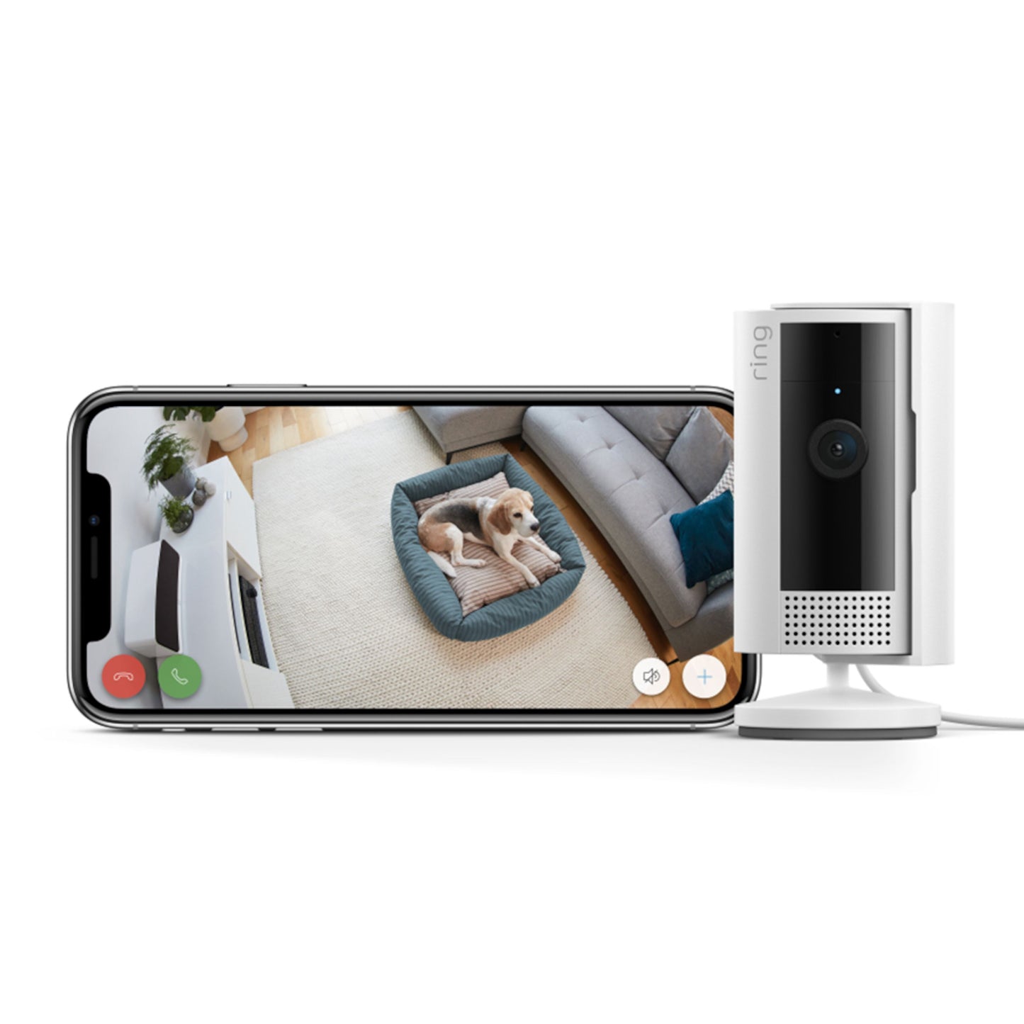 Ring Indendørs kamera Gen. 2 trådløs, hvid ved smartphone med 1080p livevideo af hund på seng.