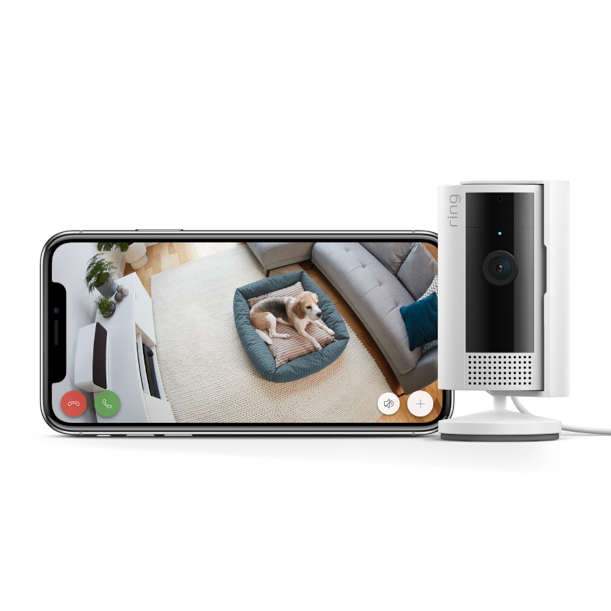 Ring Indendørs kamera Gen. 2 trådløs, hvid ved smartphone med 1080p livevideo af hund på seng.