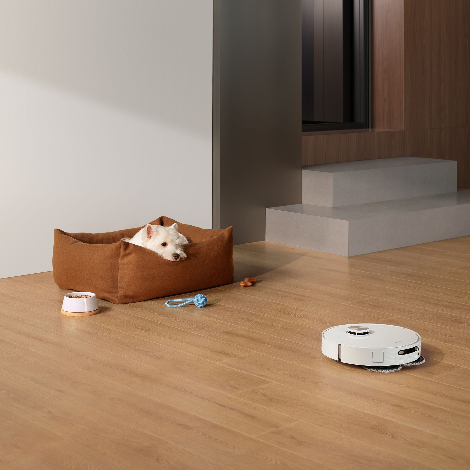 Dreame X40 Ultra fuldautomatisk støvsugerrobot sorterer ved hundeseng på trægulv med legetøj og madskål.