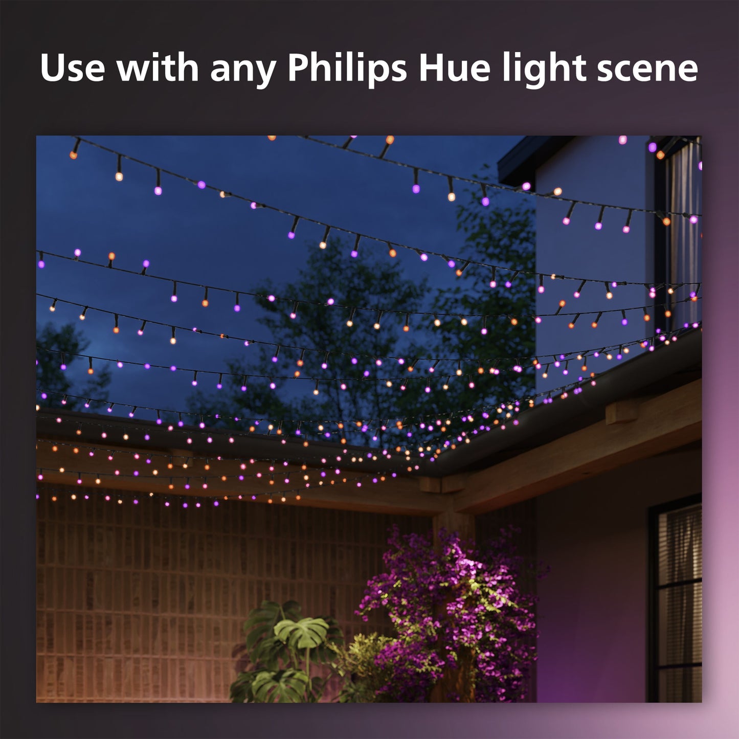 Philips Hue Festlig lyskæde 250 LED med farvegradient til udendørs brug tekst: Brug med alle Philips Hue lys-scener.