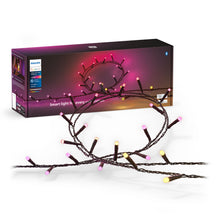 Philips Hue Festoon lyskæde 500 LED, sammenrullet foran æske med pink, gule og lilla lys.
