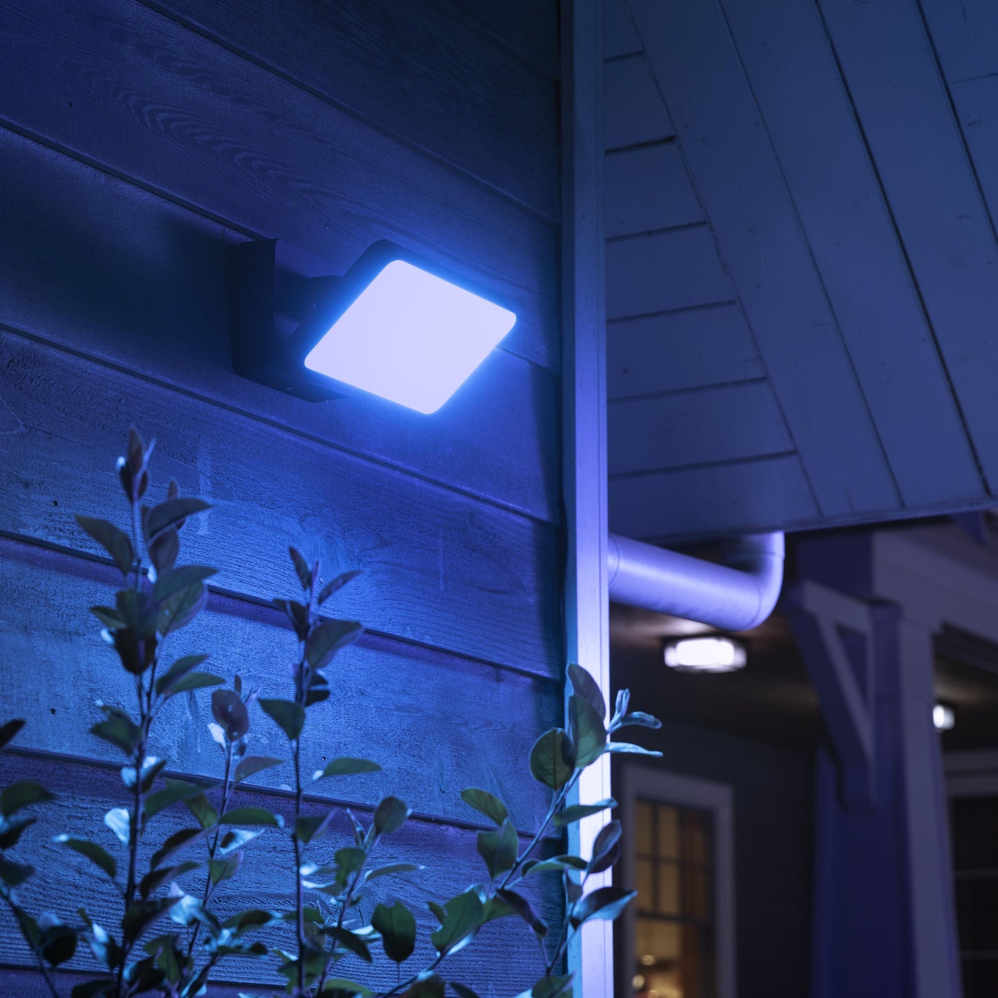 Philips Hue Opdag Udendørs projektør 2250 lm lyser blå på træhus om natten, fremhæver bladplante foran huset.