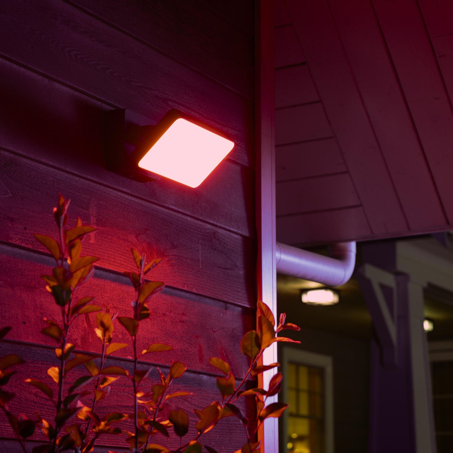 Philips Hue Opdag Udendørs projektør 2250 lm lyser rød på mørkt træværk og blad, veranda og vindue synlige.