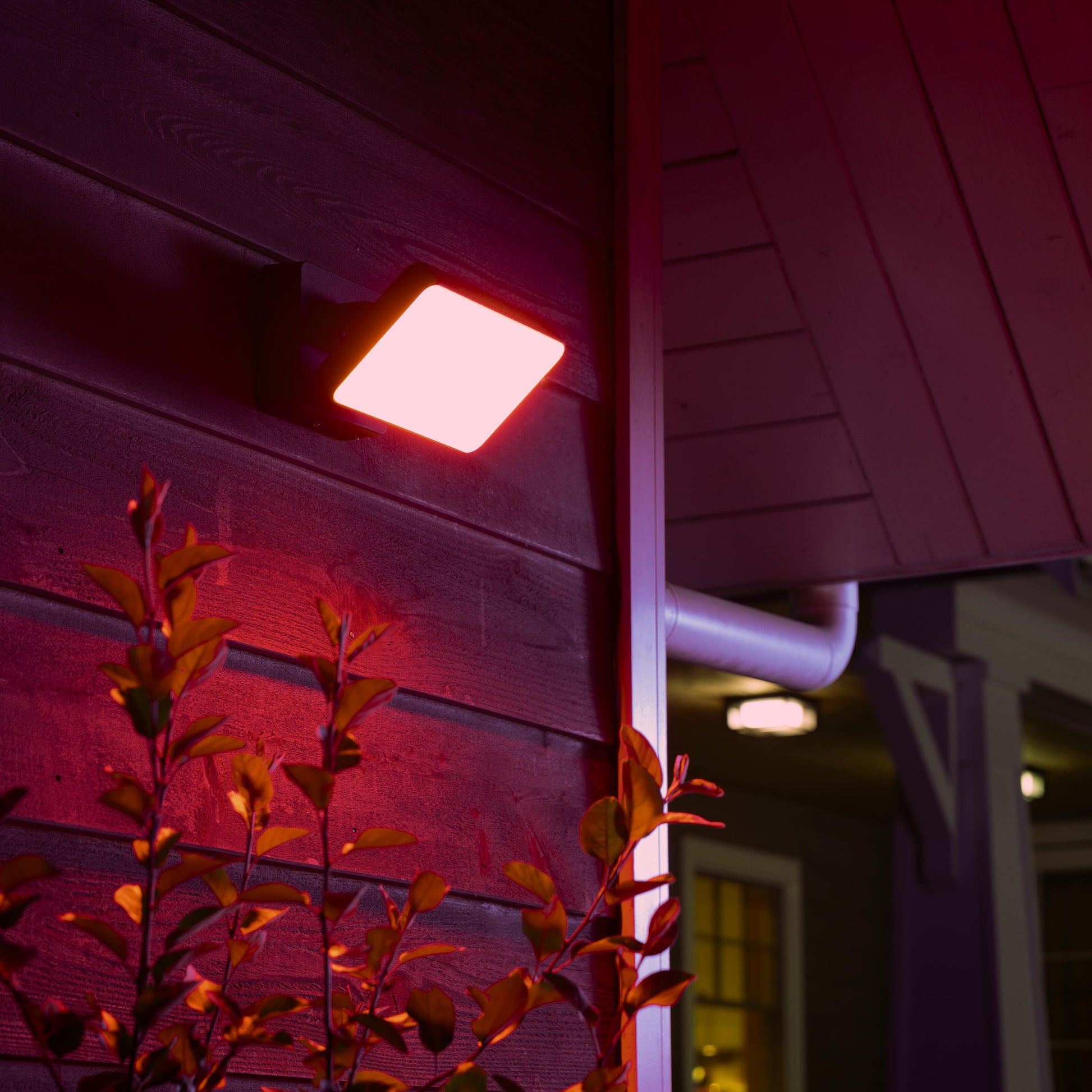 Philips Hue Opdag Udendørs projektør 2250 lm lyser rød på mørkt træværk og blad, veranda og vindue synlige.