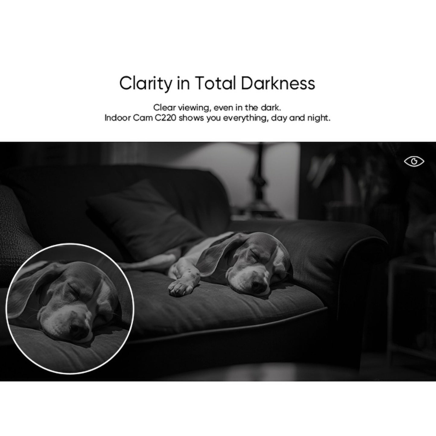 Eufy Indendørs kamera C220 trådløs overvågningskamera 2K viser natoptagelse af hund på mørk sofa i svagt oplyst rum.
