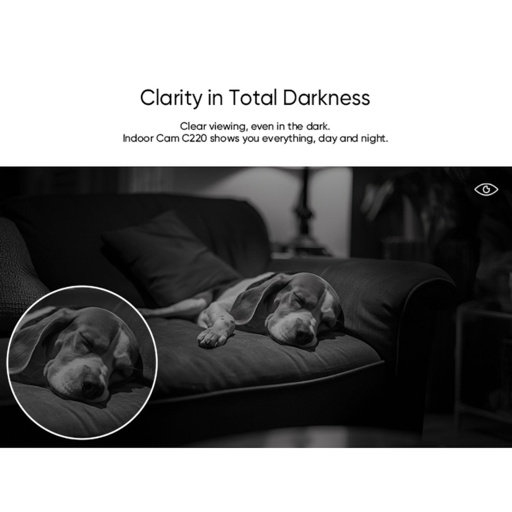 Eufy Indendørs kamera C220 trådløs overvågningskamera 2K viser natoptagelse af hund på mørk sofa i svagt oplyst rum.