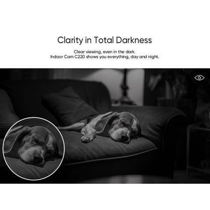 Eufy Indendørs kamera C220 trådløs overvågningskamera 2K viser natoptagelse af hund på mørk sofa i svagt oplyst rum.