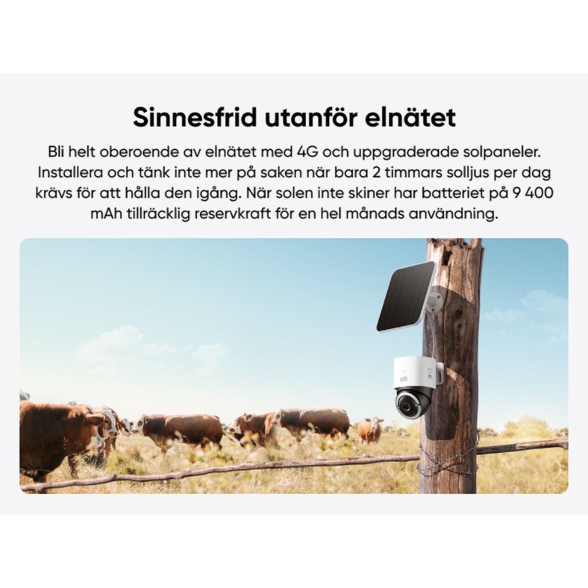 Eufy S330 4G LTE solcelledrevet overvågningskamera monteret på træpæl, svensk tekst om strømfri overvågning og lokal lagring.