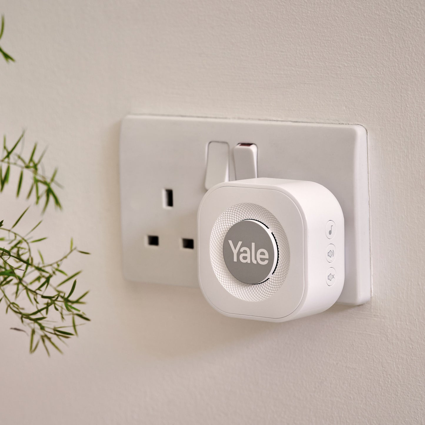 Yale Doorbell Chime, hvid, sat i britisk stikkontakt, lille plante synlig til venstre.