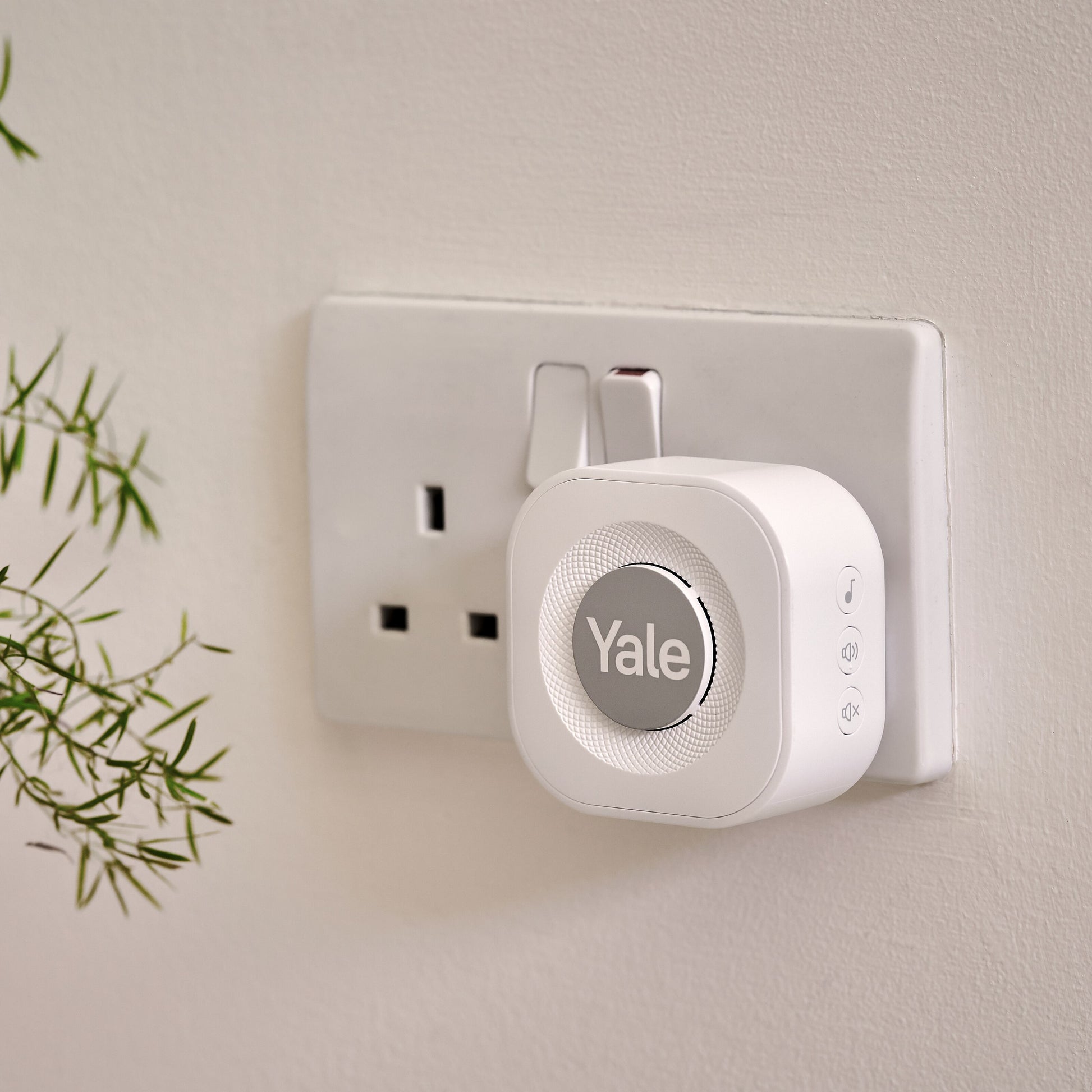 Yale Doorbell Chime, hvid, sat i britisk stikkontakt, lille plante synlig til venstre.