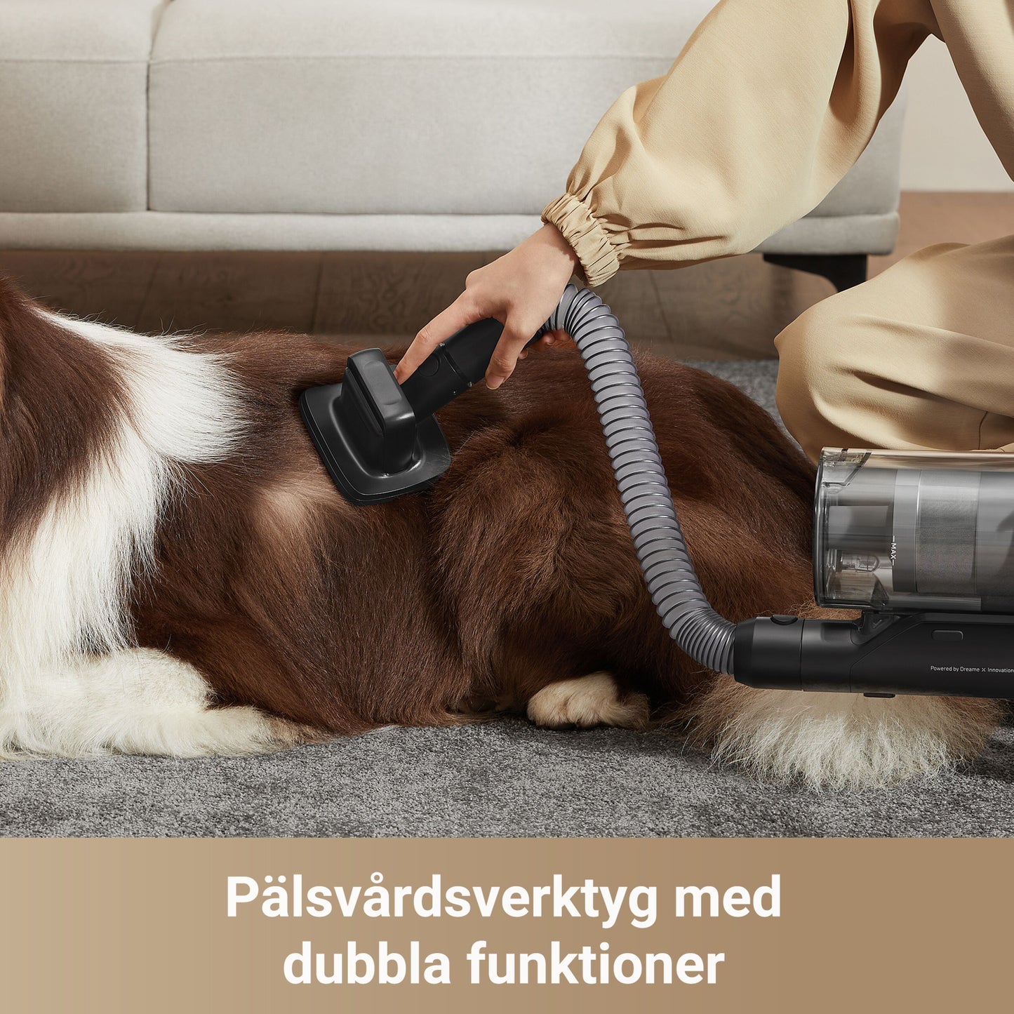 Dreame Stangstøvsuger Z30 med HEPA-filter bruges til pelspleje af langhåret hund, tekst: Pälsvårdsverktyg med dubbla funktioner.