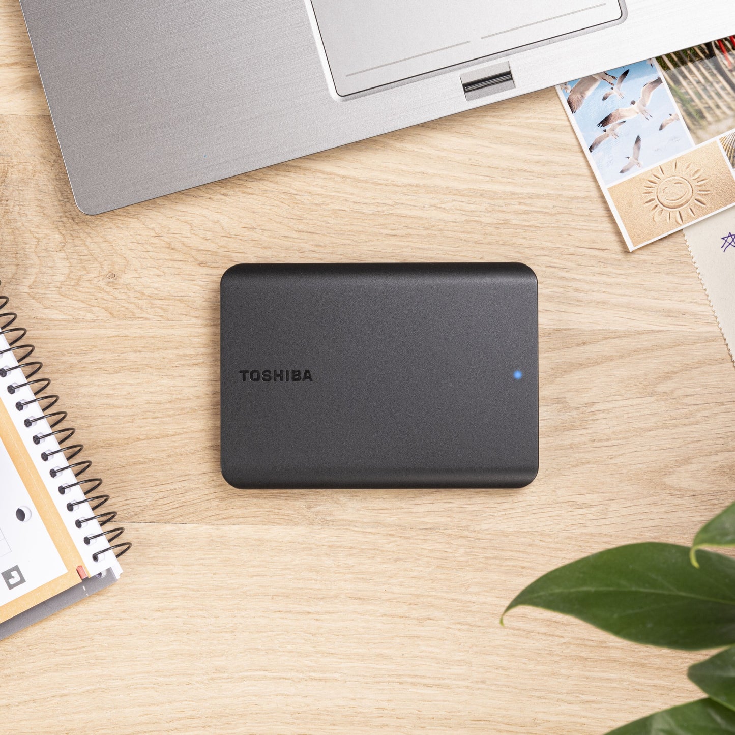 Toshiba Canvio Basics ekstern harddisk 4TB med blå LED-lys på bord ved siden af bærbar, notesbog og fotos.